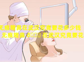 无痕隆鼻在武汉究竟要花多少钱「无痕隆鼻 🍀 在武汉究竟要花多少 🌵 钱一次」